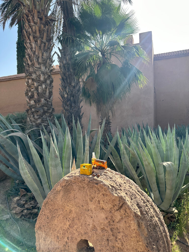 Trésor d’une Terre 🌴