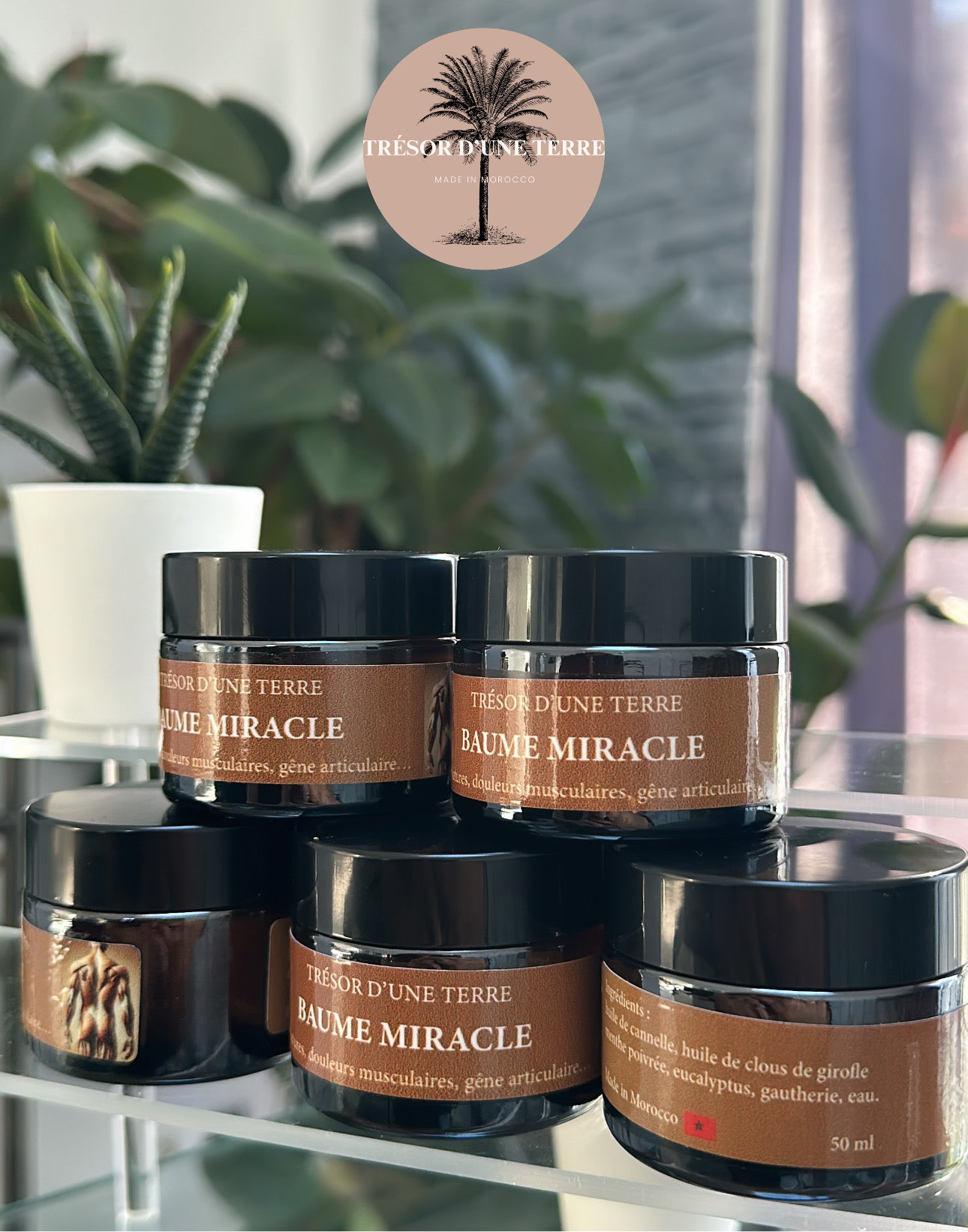 Baume Miracle Trésor d’une Terre